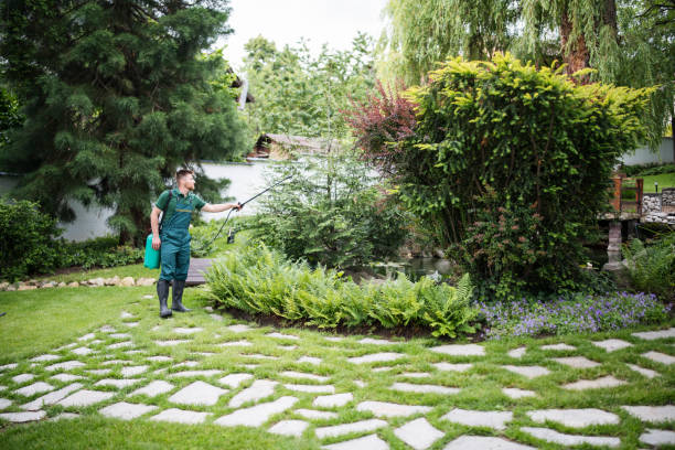 Best Tree and Shrub Care  in Atkinson, NE
