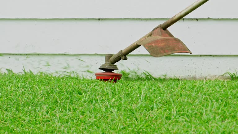Best Lawn Pest Prevention  in Atkinson, NE