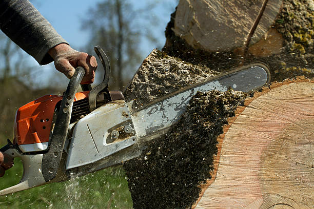 Best Tree Mulching  in Atkinson, NE